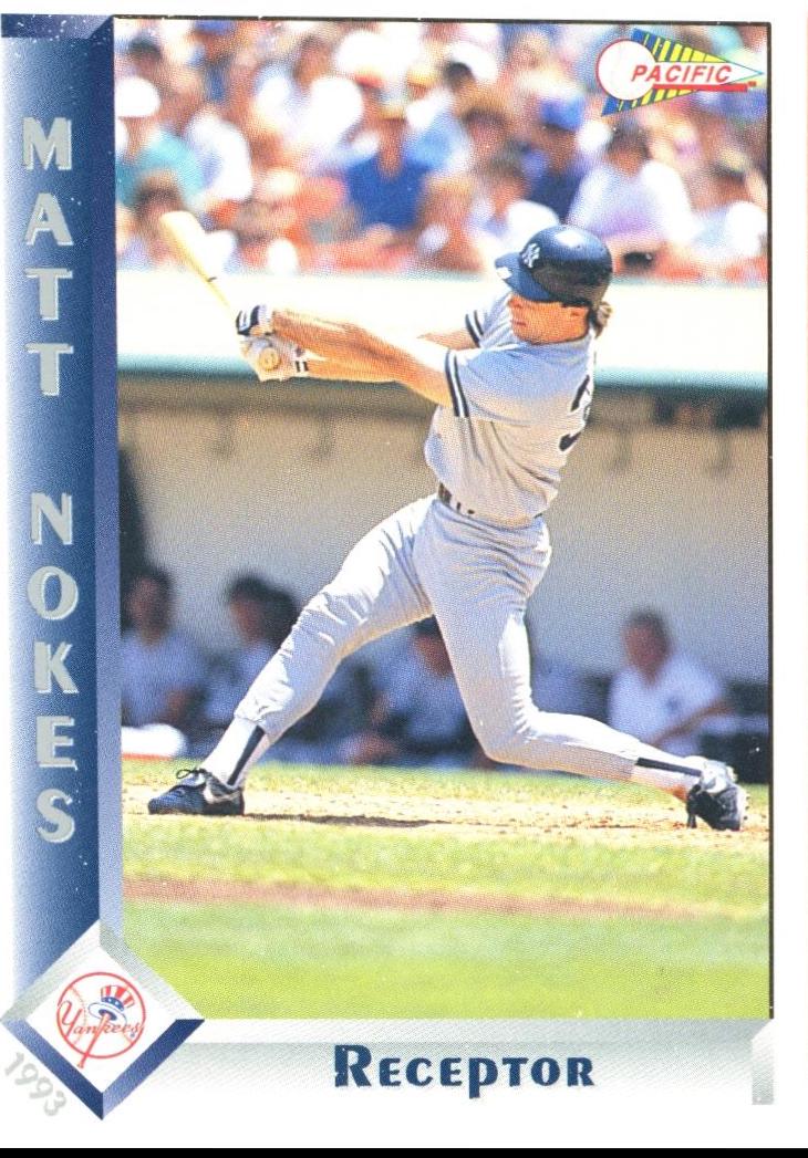 Matt Nokes #209