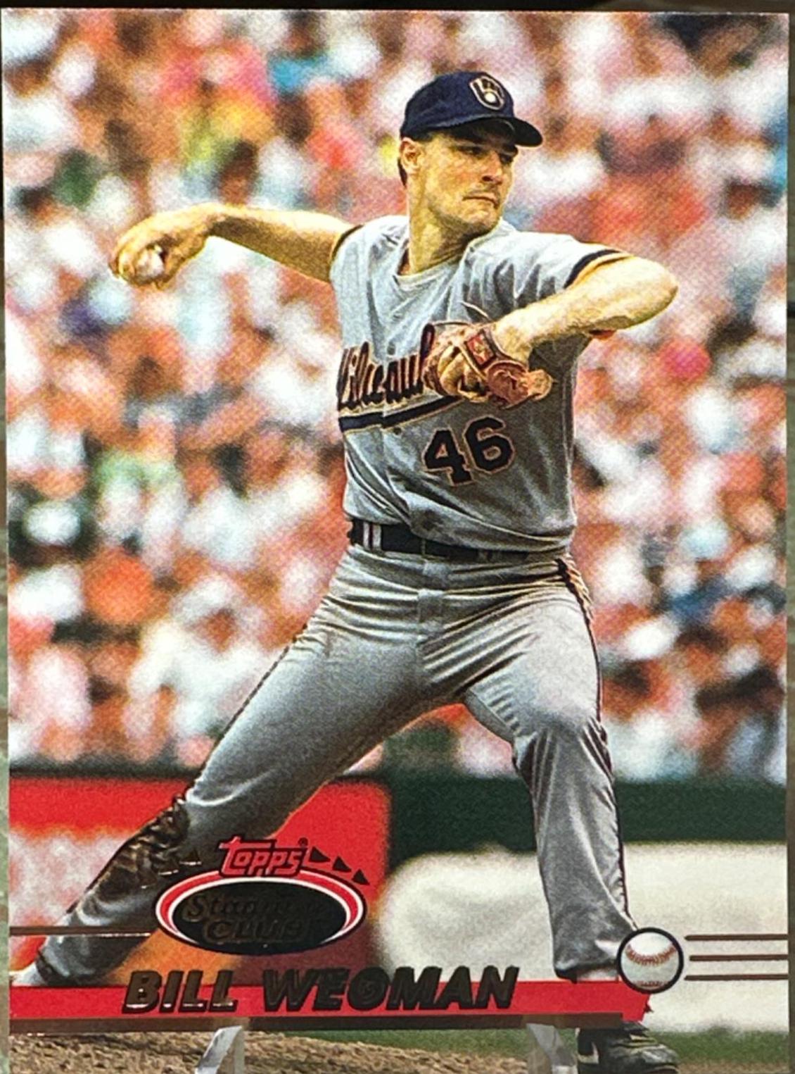 Bill Wegman #324