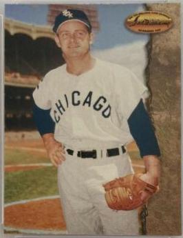 Nellie Fox #20