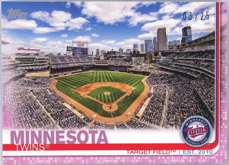 Target Field [Pink] #424
