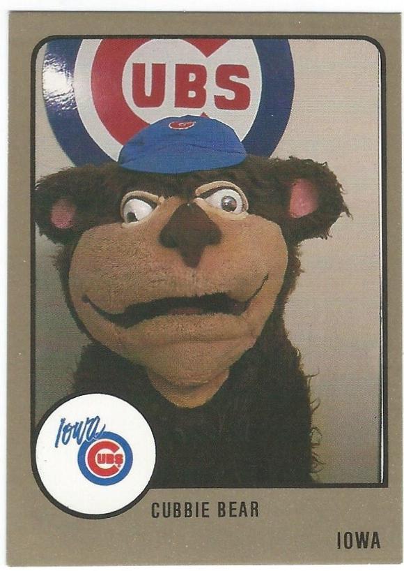 Cubbie Bear #554