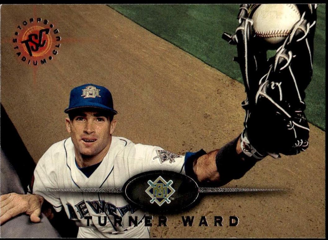 TURNER WARD #495