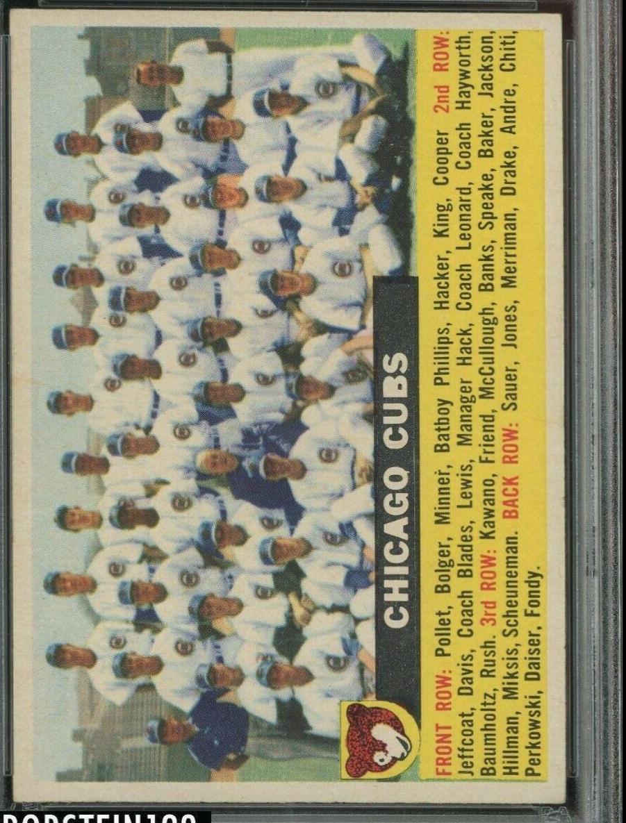 Cubs Team [Gray Back] #11