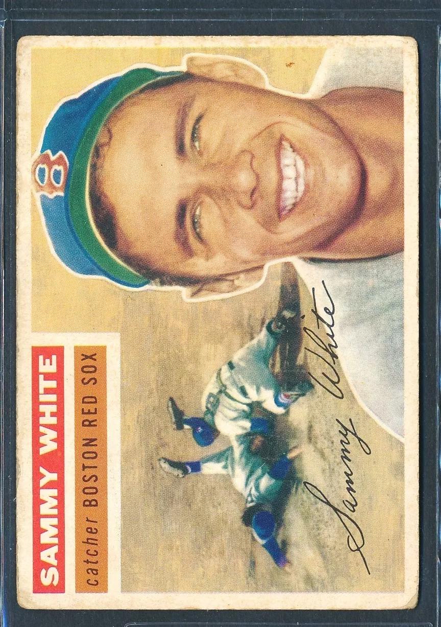 Sammy White [White Back] #168