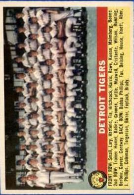 Tigers Team #213