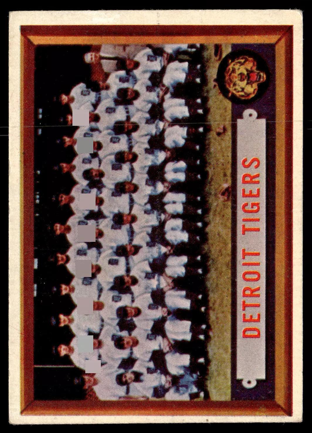 Tigers Team #198
