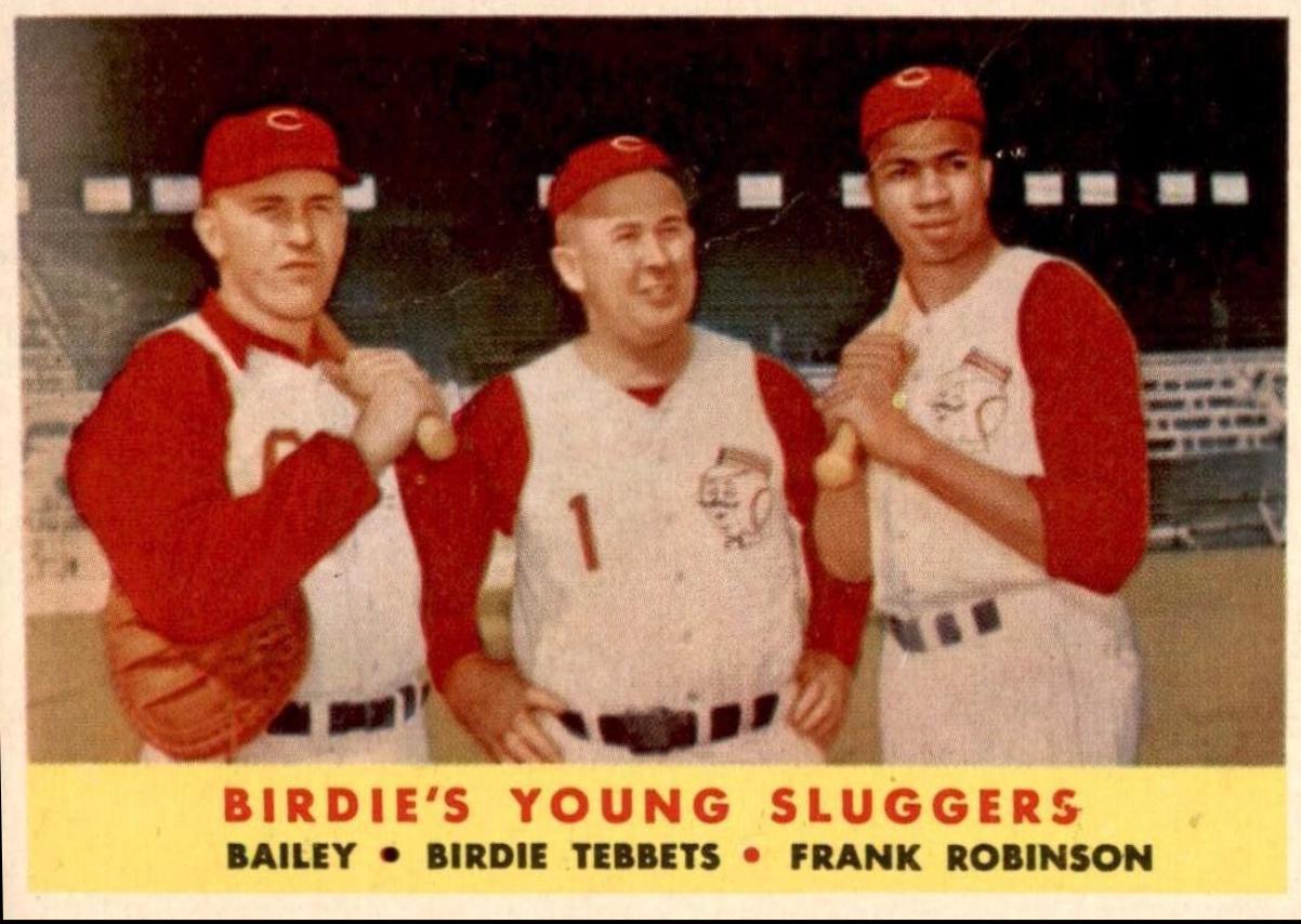 Birdie's Young Sluggers #386