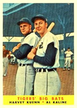Tigers Big Bats #304