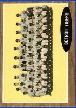 Tigers Team #24