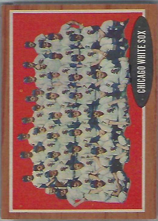 White Sox Team #113
