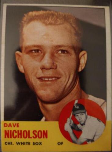 Dave Nicholson #234
