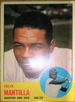 Felix Mantilla #447