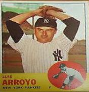 Luis Arroyo #569
