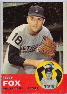 Terry Fox #44