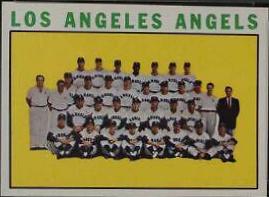 Angels Team #213