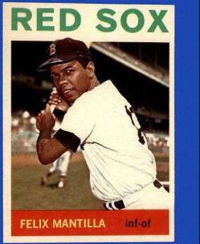 Felix Mantilla #228