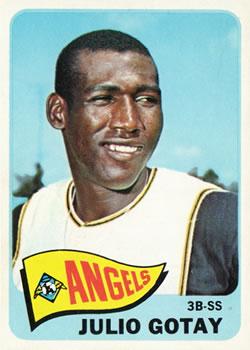 Julio Gotay #552