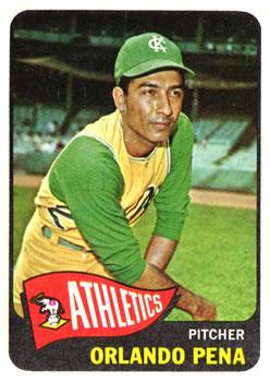 Orlando Pena #311