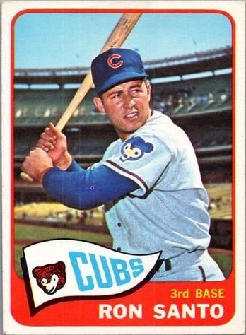 Ron Santo #110