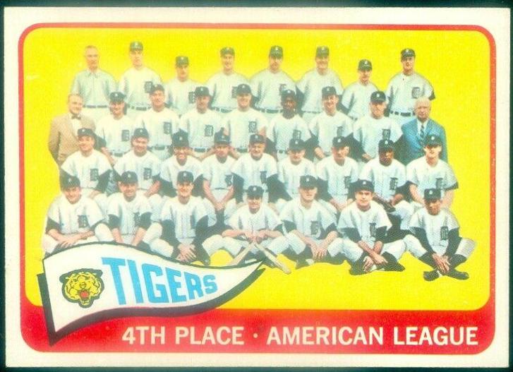 Tigers Team #173