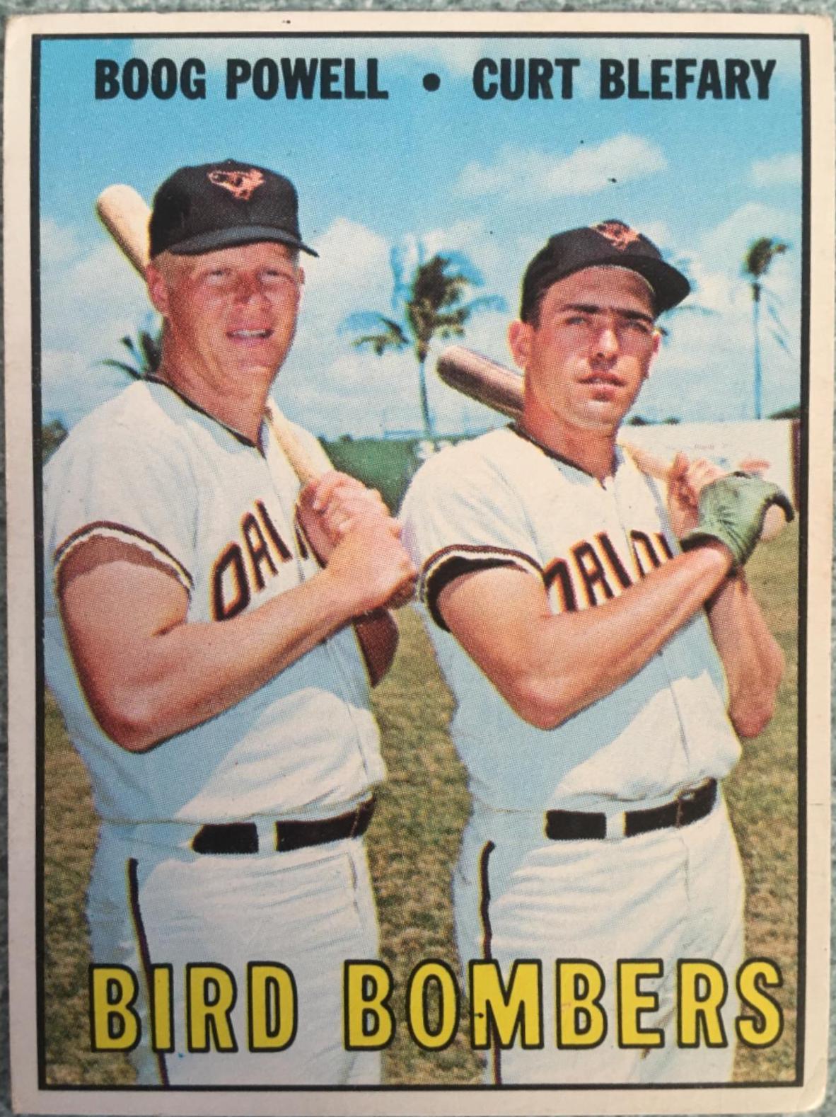 Bird Bombers #521