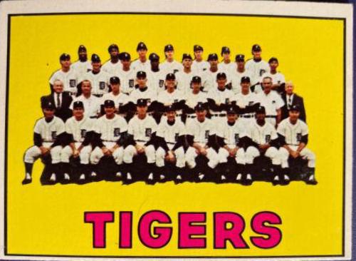 Tigers Team #378