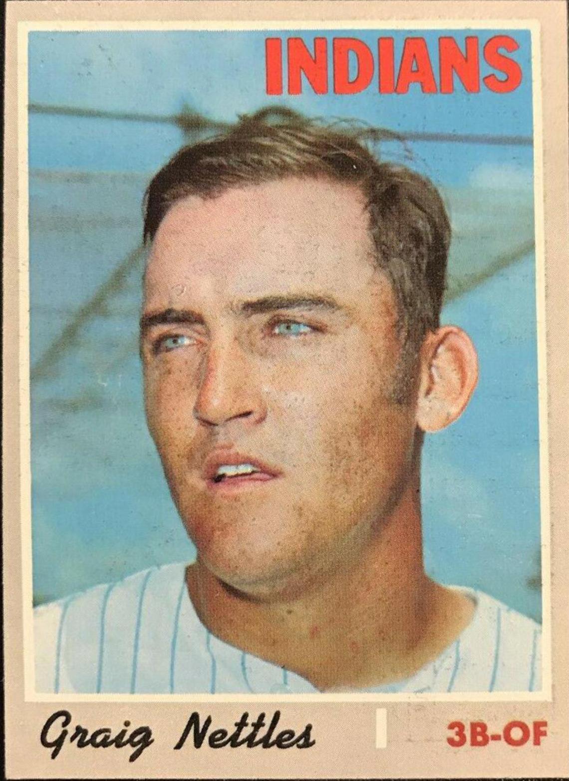 Graig Nettles #491