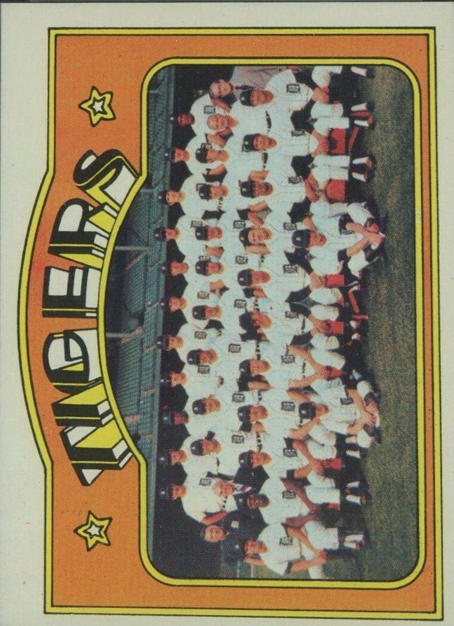 Detroit Tigers #487