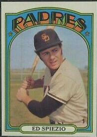 Ed Spiezio #504