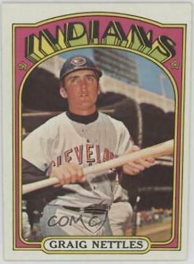 Graig Nettles #590