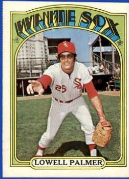 Lowell Palmer #746