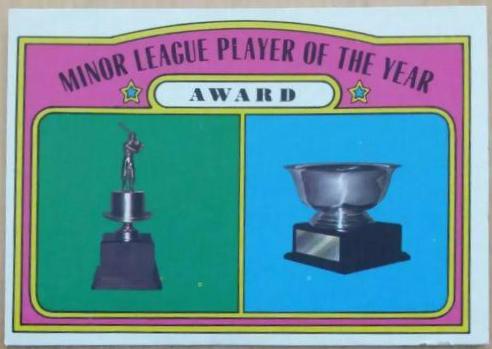 Minor League Player of the Year #624