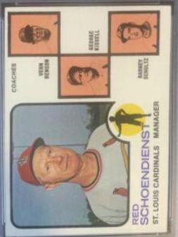 Cardinals Field Leaders [Dark Pale Background] #497