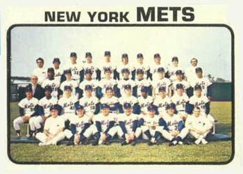 Mets Team #389