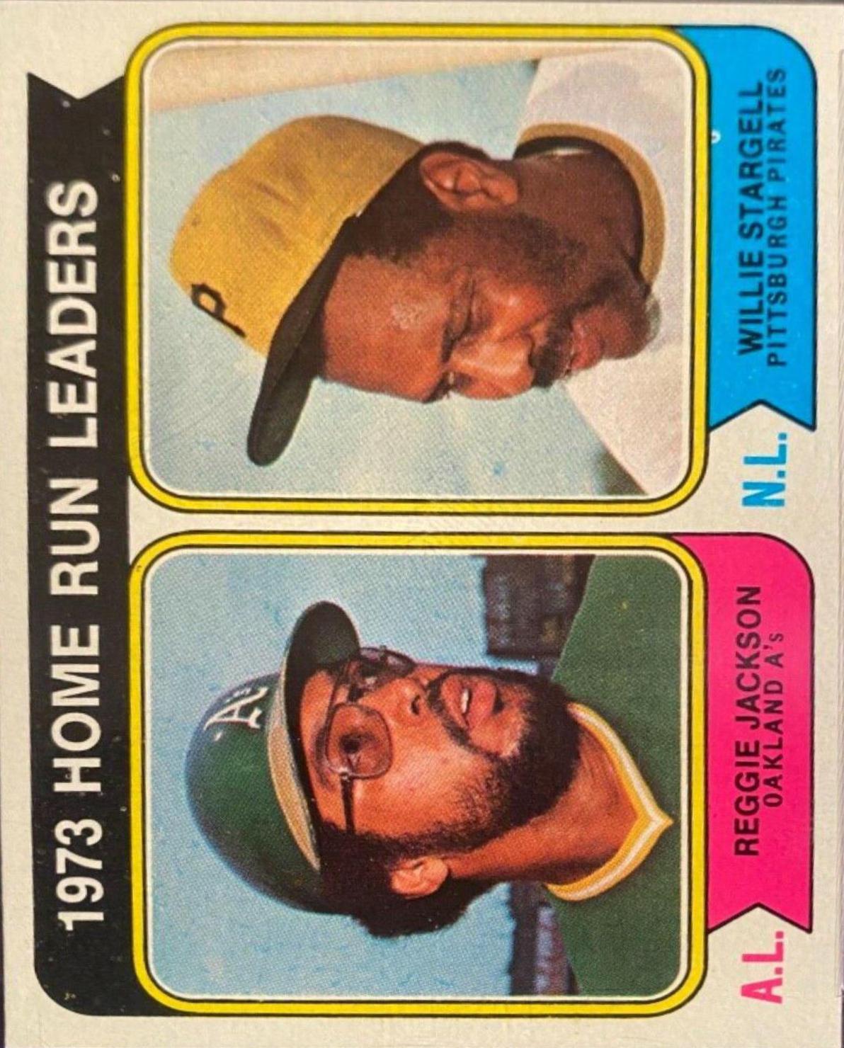 1973 Home Run Leaders #202