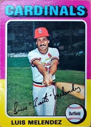 Luis Melendez #353