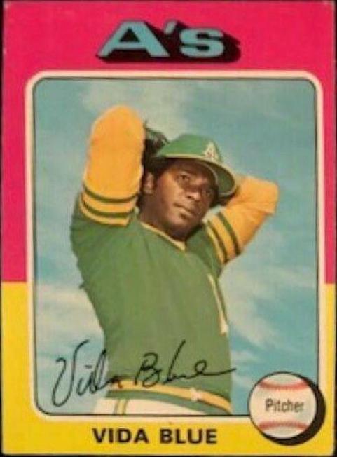 Vida Blue #510