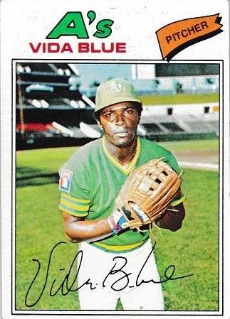 Vida Blue #230