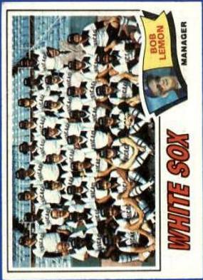White Sox Team #418
