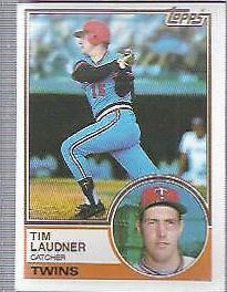 Tim Laudner #529