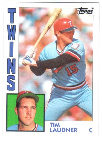 Tim Laudner #363
