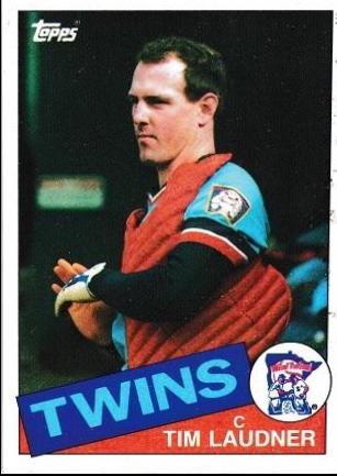 Tim Laudner #71