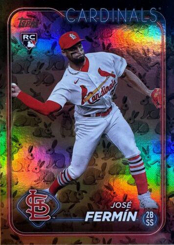 Jose Fermin [Rabbits] #305