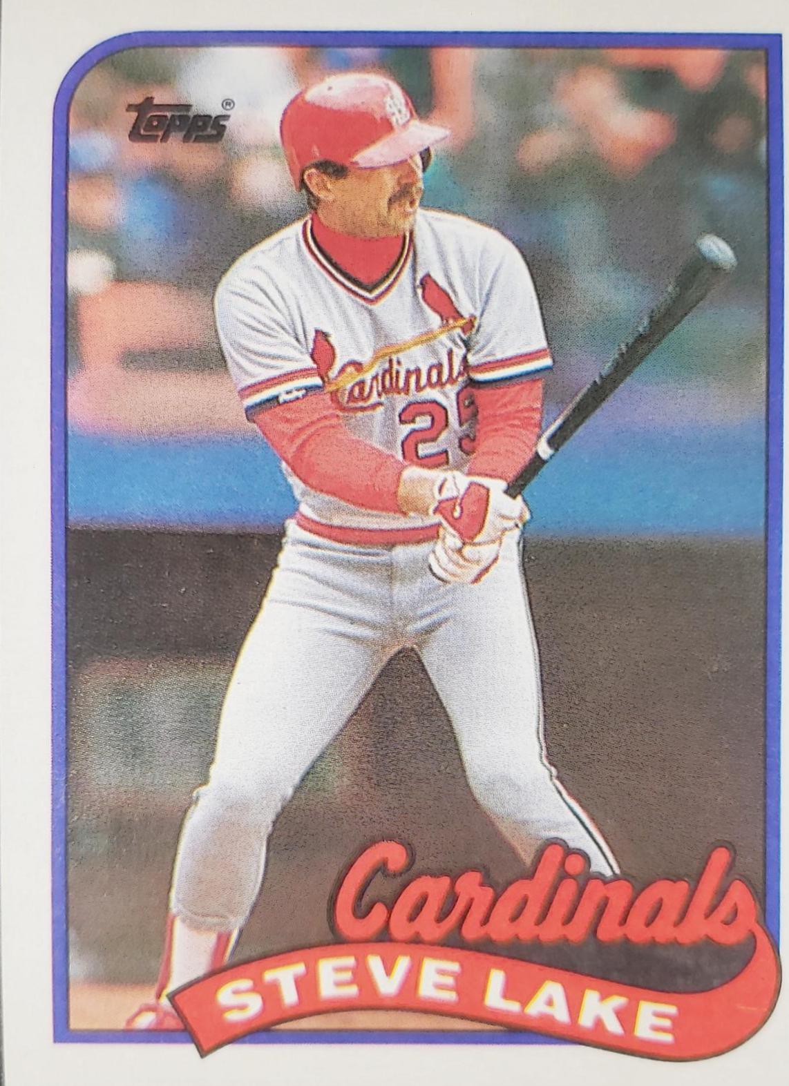 Steve Lake #463