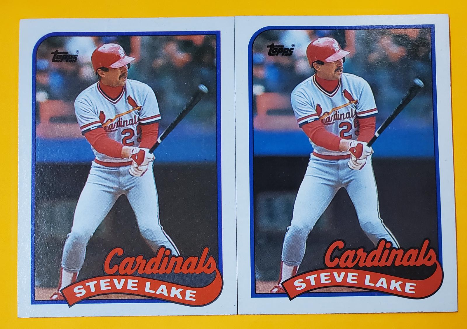 Steve Lake #463