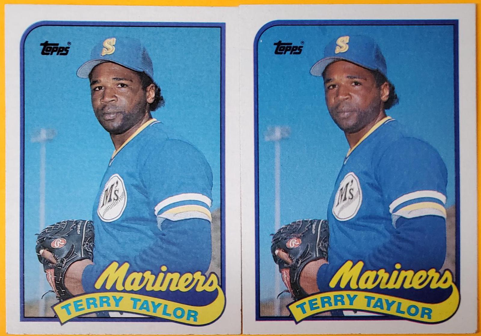 Terry Taylor #597