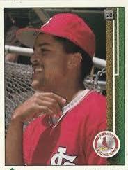 Luis Alicea #281