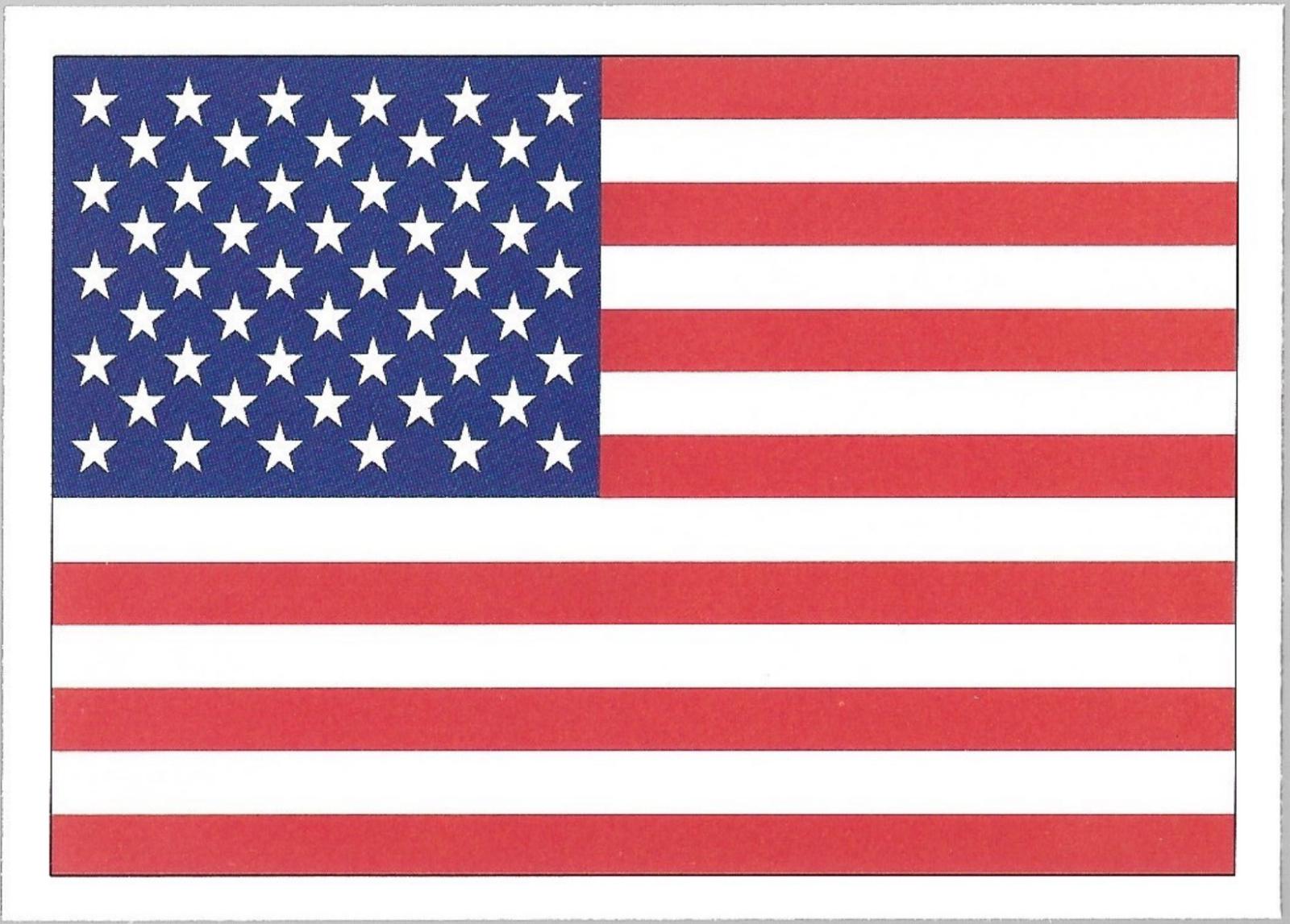 American Flag #737