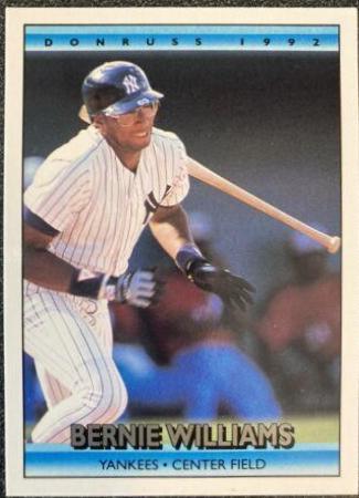 Bernie Williams #344