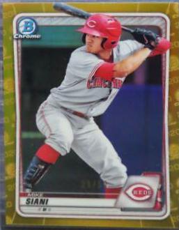 Mike Siani [Gold Refractor] #BCP-178